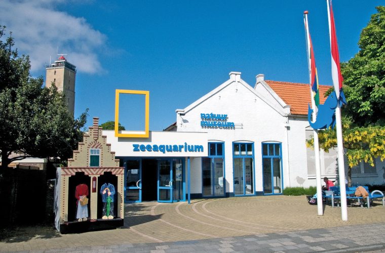 foto: centrum voor natuur en landschap terschelling, piet lautenbach / cc by sa 3.0 via wikimedia commons