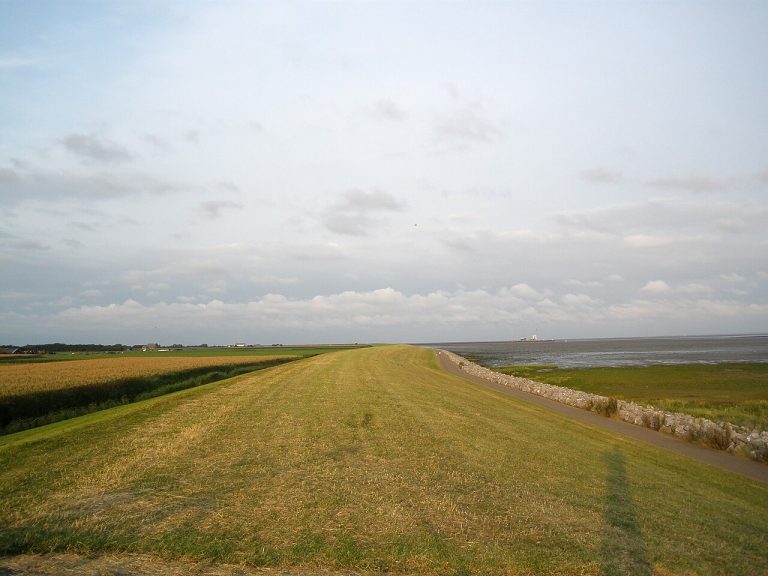 Dagje Cranberryvelden — Attracties in Terschelling