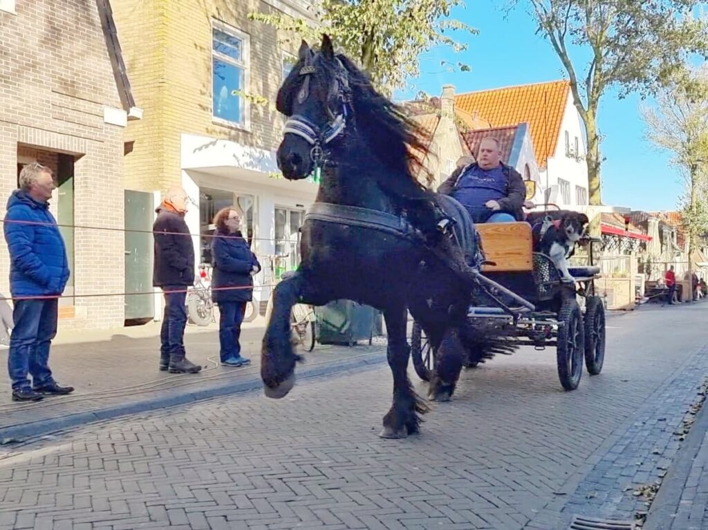 Ringsteken in Midsland in Terschelling